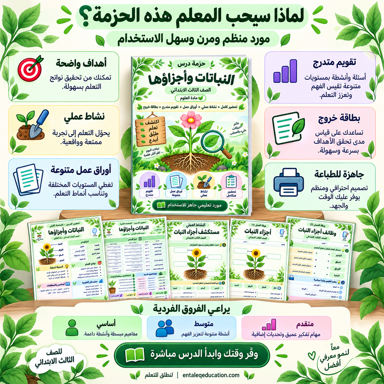 تحضير درس النباتات وأجزاؤها للصف الثالث الابتدائي | أوراق عمل ونشاط عملي - الصورة 4