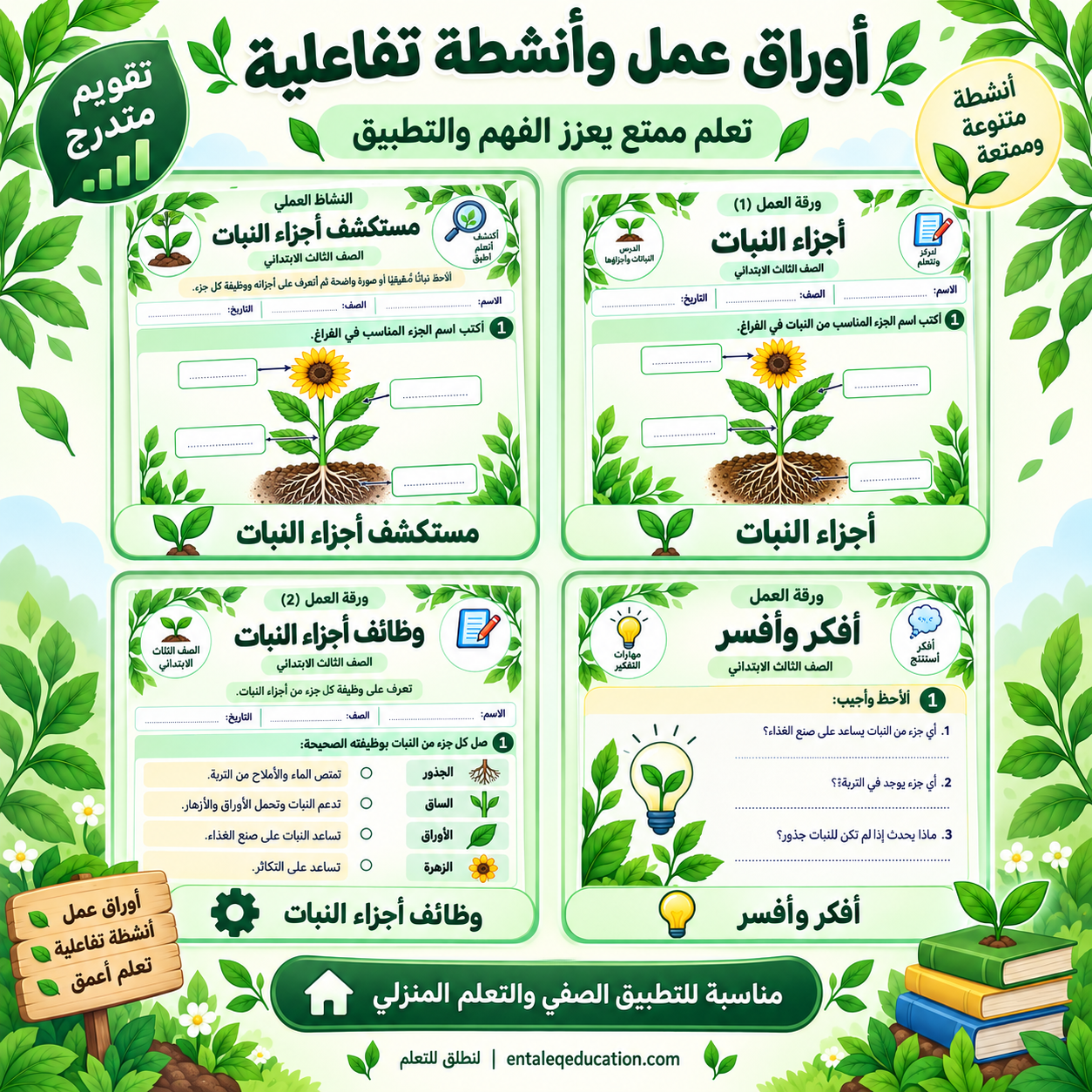 تحضير درس النباتات وأجزاؤها للصف الثالث الابتدائي | أوراق عمل ونشاط عملي - الصورة 3